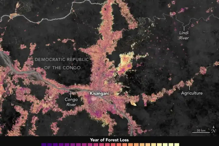 Satellite view of deforestation near Kisangani in the Democratic Republic of Congo, the kind of forest clearing now happening in Dodamarg near Mopa Airport.