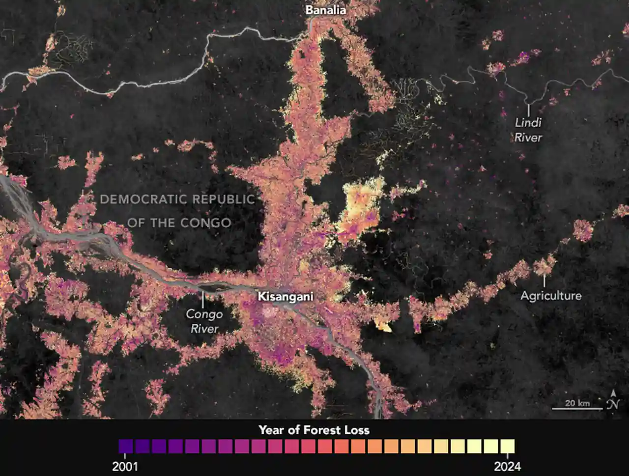 Satellite view of deforestation near Kisangani in the Democratic Republic of Congo, the kind of forest clearing now happening in Dodamarg near Mopa Airport.