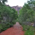 Grand Canyon Flash Flood August 29: Two Hikers Dead, One Missing, Phantom Ranch Closed, Infrastructure Damaged