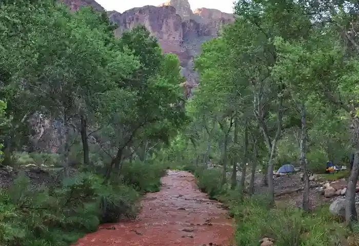 Muddy brown floodwaters rushing through Bright Angel Creek canyon corridor over rocks and fallen tree debris near Phantom Ranch.