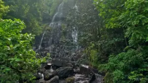 Amboli waterfall cascading down rocky terrain in Maharashtra's Sindhudurg district