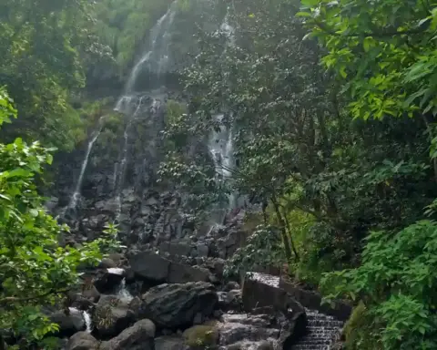 Amboli waterfall cascading down rocky terrain in Maharashtra's Sindhudurg district