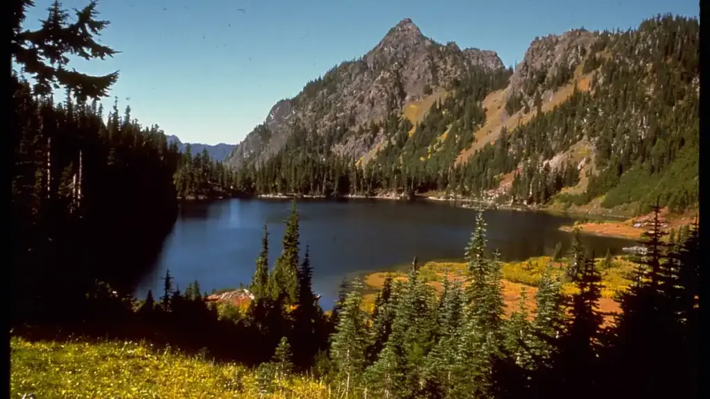 Expansive alpine terrain with steep forested ridges and rock faces in Washington's Olympic National Park.