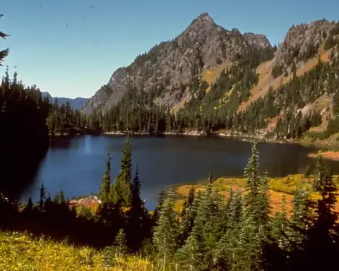 Expansive alpine terrain with steep forested ridges and rock faces in Washington's Olympic National Park.