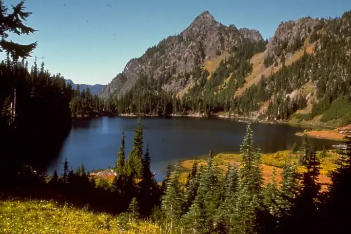 Expansive alpine terrain with steep forested ridges and rock faces in Washington's Olympic National Park.