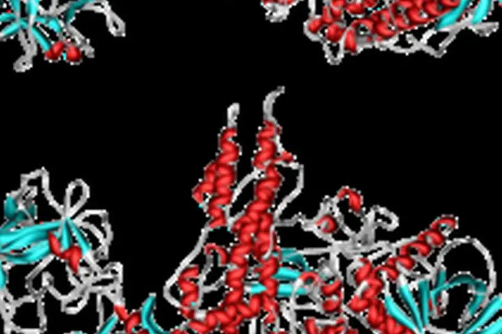 Structural scientific render of the Botulinum Neurotoxin Serotype A protein molecule used in medical aesthetics.