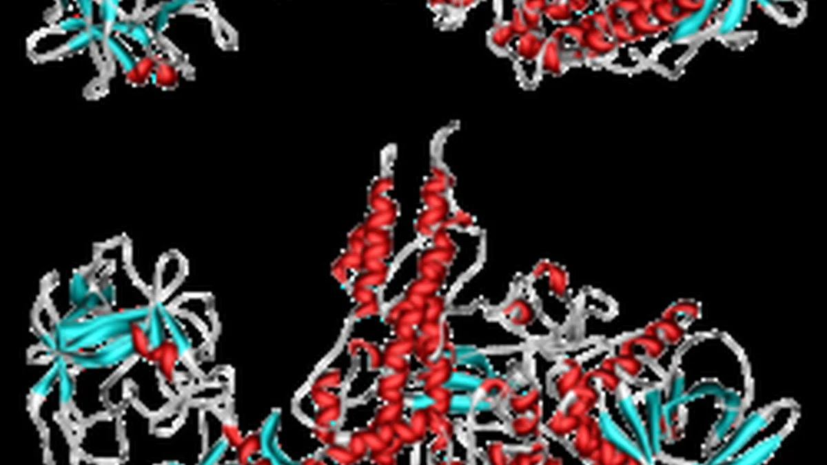 Structural scientific render of the Botulinum Neurotoxin Serotype A protein molecule used in medical aesthetics.
