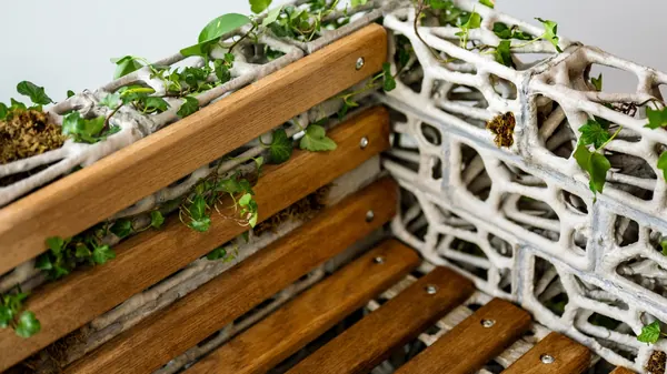 PhytoSymbiosis Seat bench with concrete frame and ivy growing from porous structure