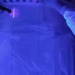 LUX-ZEPLIN Detects Anomalous Particle in Dark Matter Search; 2.6-Sigma Event Falls Short of Discovery Threshold
