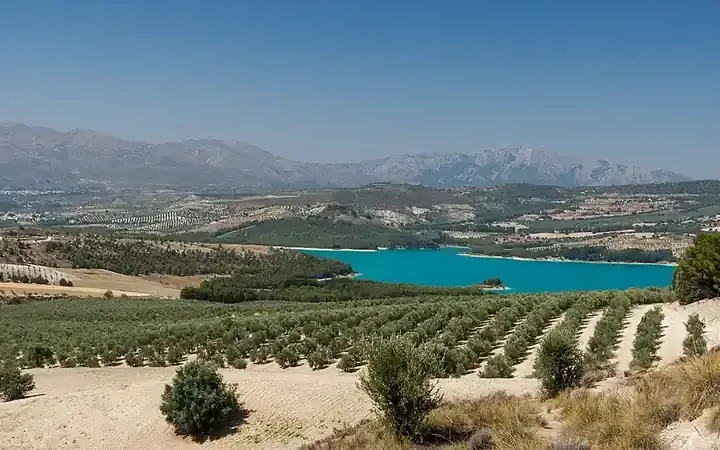 A dry landscape under strong sunlight, representing heat and drought stress linked to rising global temperature records.