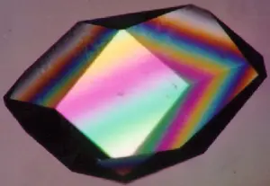 A colorful lysozyme crystal viewed under microscopy, representing precision materials research linked to nanoscale control.