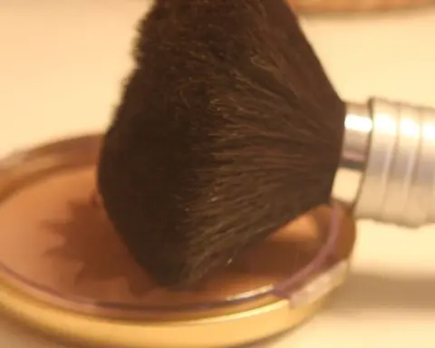 Close-up photograph of a makeup brush with cosmetic powder, representing retail beauty products.