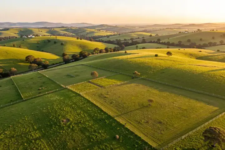 South African rural farmland with rolling hills and farm fields under afternoon light