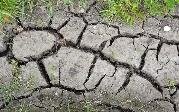 Deep cracks across dry soil after prolonged heat and low rainfall, showing drought stress in parched ground.