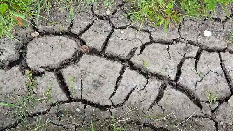 Deep cracks across dry soil after prolonged heat and low rainfall, showing drought stress in parched ground.