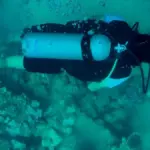 Diver working underwater during an Irish marine conservation and seabed clean-up activity