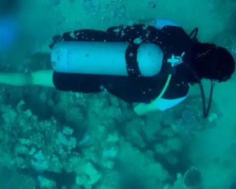 Diver working underwater during an Irish marine conservation and seabed clean-up activity
