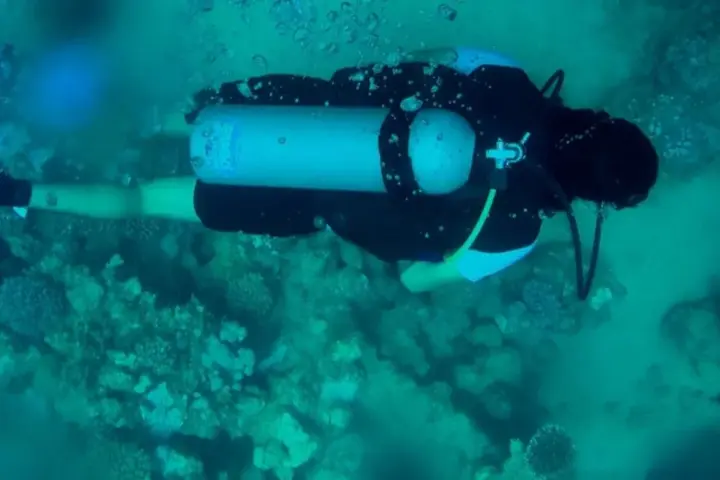 Diver working underwater during an Irish marine conservation and seabed clean-up activity