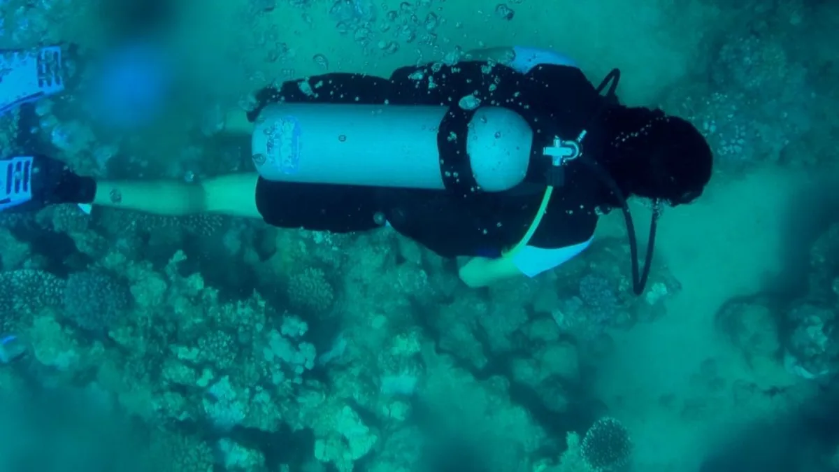Diver working underwater during an Irish marine conservation and seabed clean-up activity