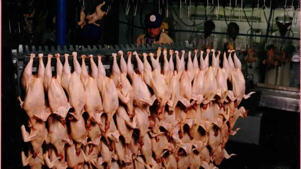 Food safety workers inspecting meat products inside a processing facility during official inspection
