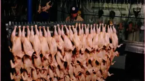 Food safety workers inspecting meat products inside a processing facility during official inspection