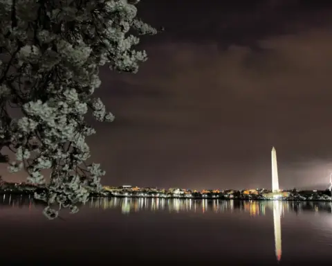 Bolt of lightning illuminating the night sky behind the Washington Monument on the National Mall