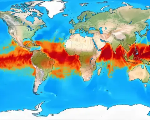 Scientific oceanographic chart illustrating sea surface temperature anomalies in the equatorial Pacific during El Nino.