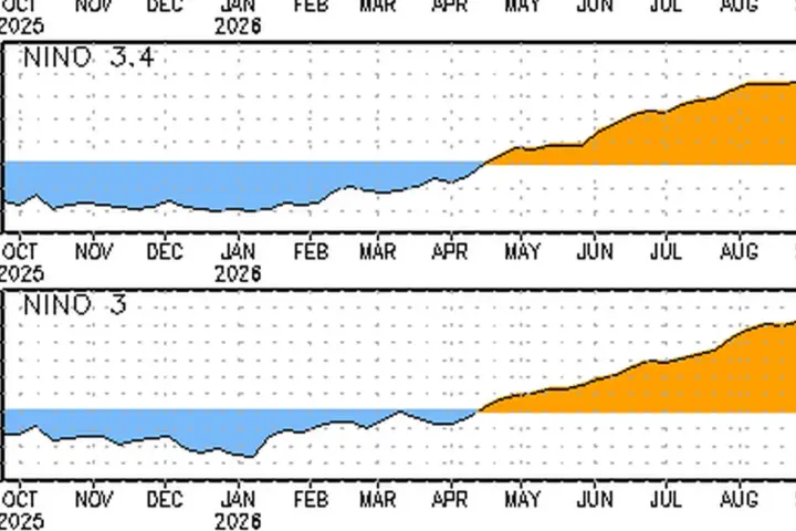 NOAA graph showing sea surface temperature conditions associated with El Niño in the tropical Pacific