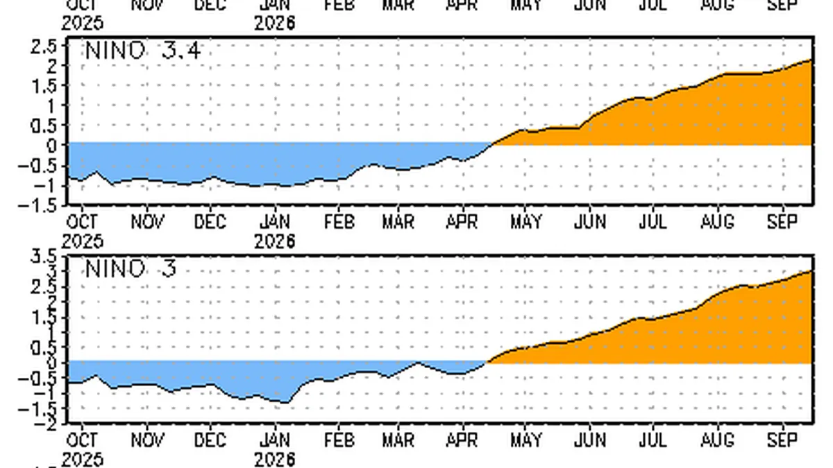 NOAA graph showing sea surface temperature conditions associated with El Niño in the tropical Pacific