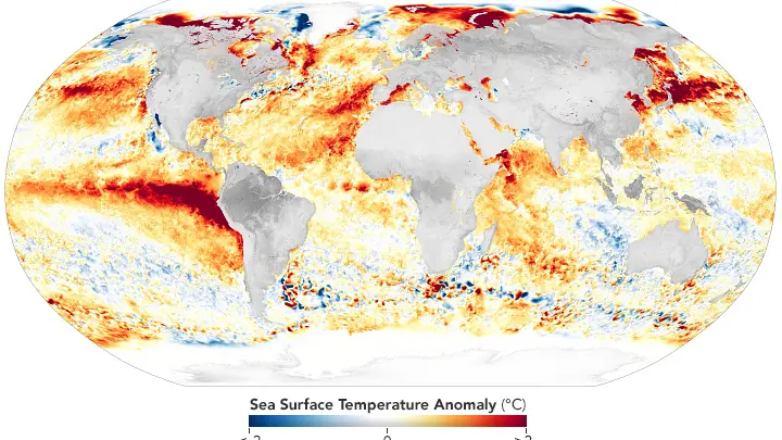 Global satellite map showing equatorial Pacific sea surface temperature anomalies during El Nino conditions for NOAA winter weather forecast article.