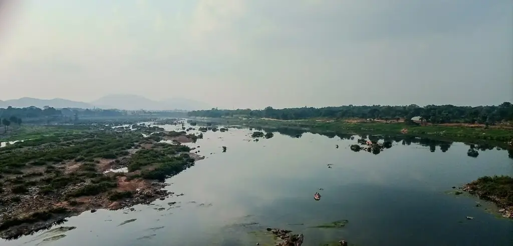 Odisha Floods September 2: Subarnarekha River Breaches Danger Level in Balasore District