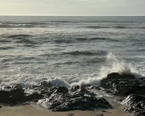 Rolling Atlantic ocean waves and white water surf breaking along an open shoreline under overcast skies.
