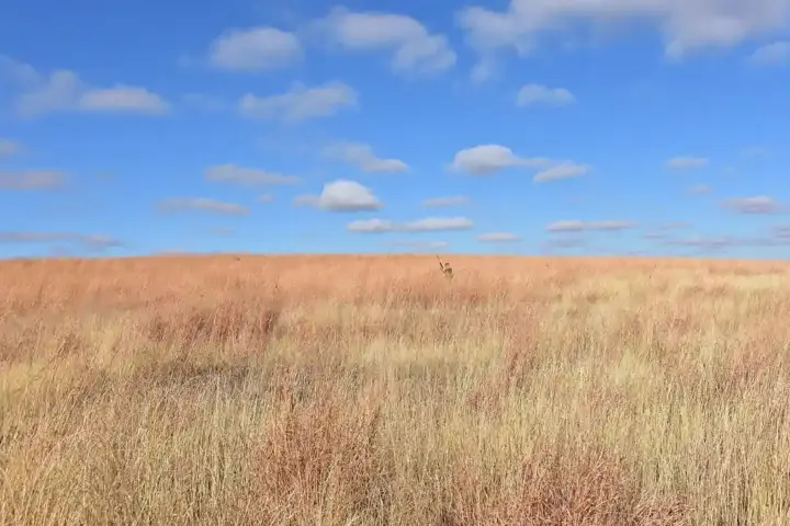 Feature image for trump-hunting-executive-order-public-lands.