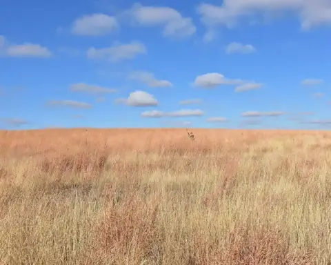 Hunters walking through grassland at LaCreek National Wildlife Refuge in South Dakota