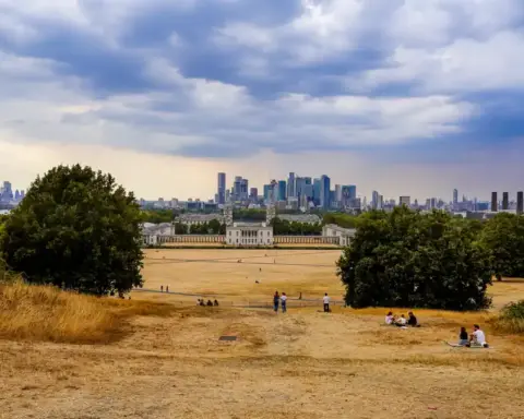 Dry ground and park lawn in Greenwich Park overlooking Canary Wharf in London.
