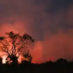 Climate adaptation measures addressing risks from rising global temperatures