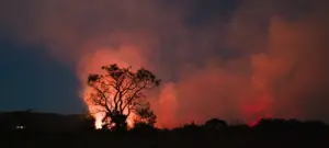 Climate adaptation measures addressing risks from rising global temperatures