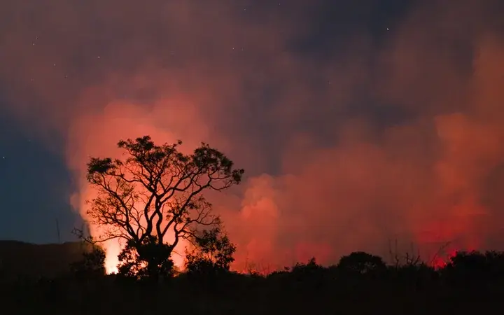 Climate adaptation measures addressing risks from rising global temperatures