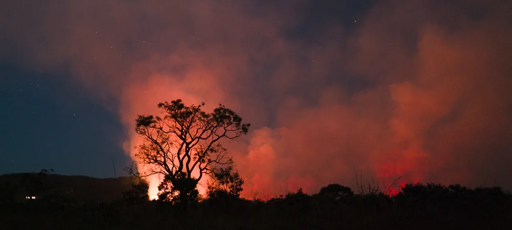 Climate adaptation measures addressing risks from rising global temperatures
