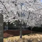 US Federal Building in Washington DC, the workplace behind the $9.5 billion administrative leave GAO report.