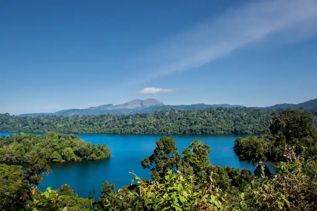 Sunlit lake surrounded by lush forest in the Western Ghats of India, the biodiversity-rich range where the Dodamarg-Sasoli tree felling threatens numerous endemic species.