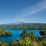 Sunlit lake surrounded by lush forest in the Western Ghats of India, the biodiversity-rich range where the Dodamarg-Sasoli tree felling threatens numerous endemic species.