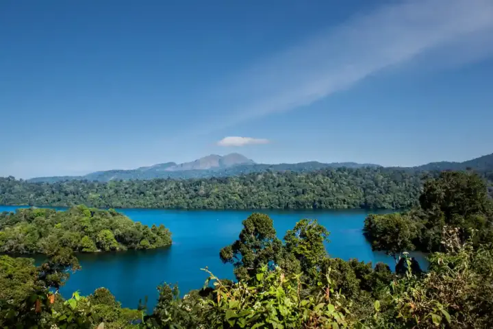 Sunlit lake surrounded by lush forest in the Western Ghats of India, the biodiversity-rich range where the Dodamarg-Sasoli tree felling threatens numerous endemic species.