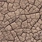 Close-up view of dry, deeply cracked soil typical of prolonged drought conditions