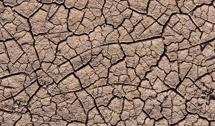 Close-up view of dry, deeply cracked soil typical of prolonged drought conditions