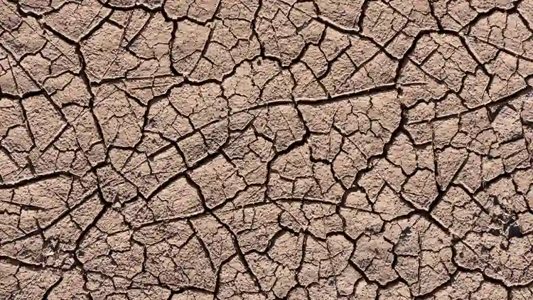 Close-up view of dry, deeply cracked soil typical of prolonged drought conditions