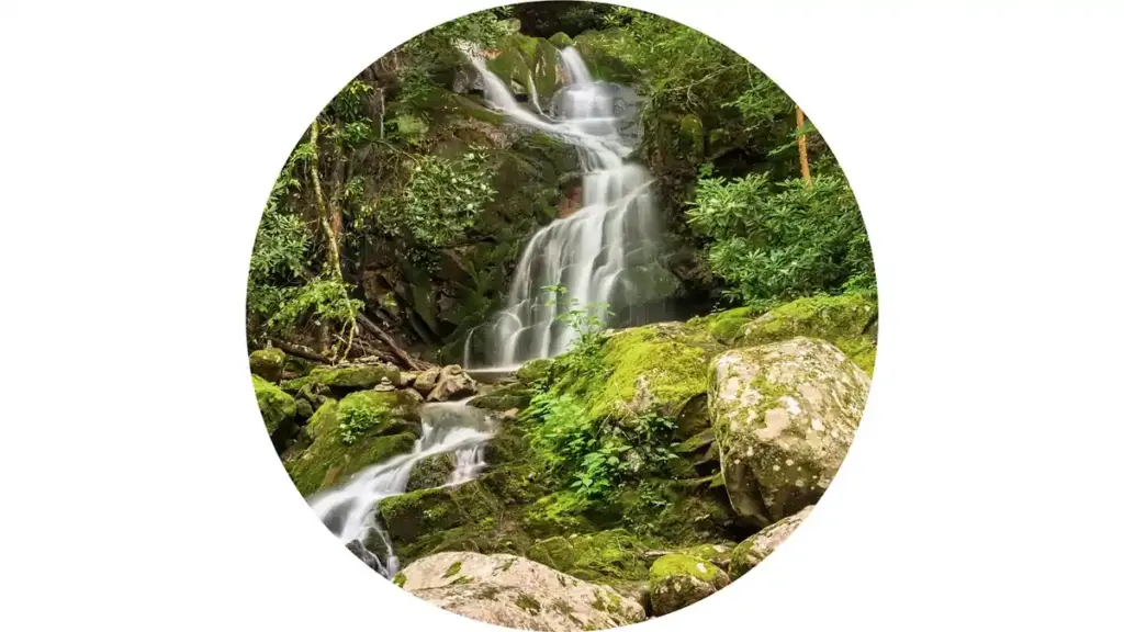 Water flowing over the 25-foot crest of Abrams Falls into a deep rock basin in Great Smoky Mountains National Park.