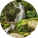 Water flowing over the 25-foot crest of Abrams Falls into a deep rock basin in Great Smoky Mountains National Park.