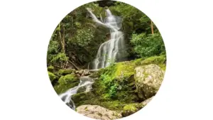 Water flowing over the 25-foot crest of Abrams Falls into a deep rock basin in Great Smoky Mountains National Park.