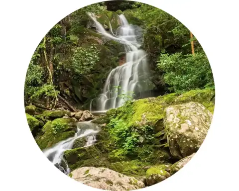 Water flowing over the 25-foot crest of Abrams Falls into a deep rock basin in Great Smoky Mountains National Park.